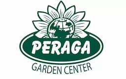 Peraga